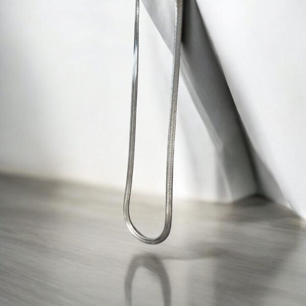Silver Snake Chain